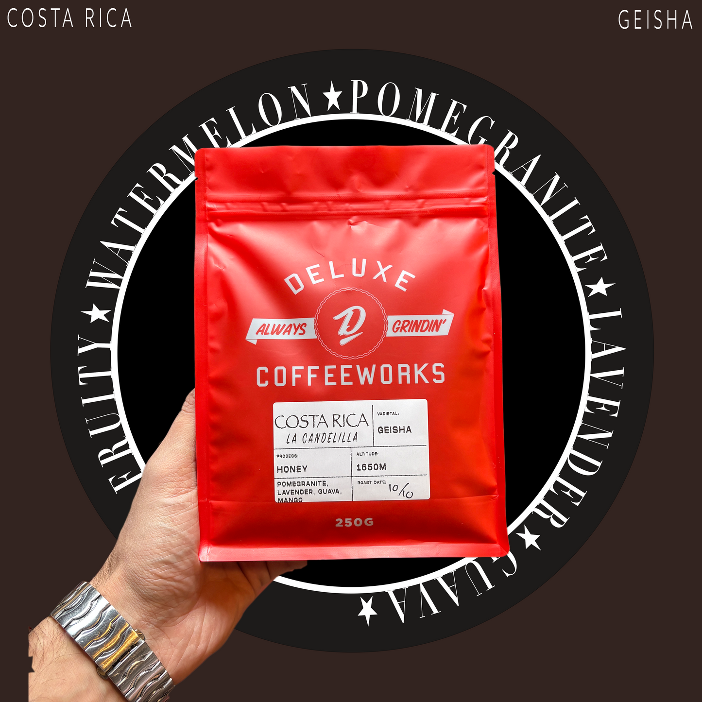 Costa Rica La Candellila