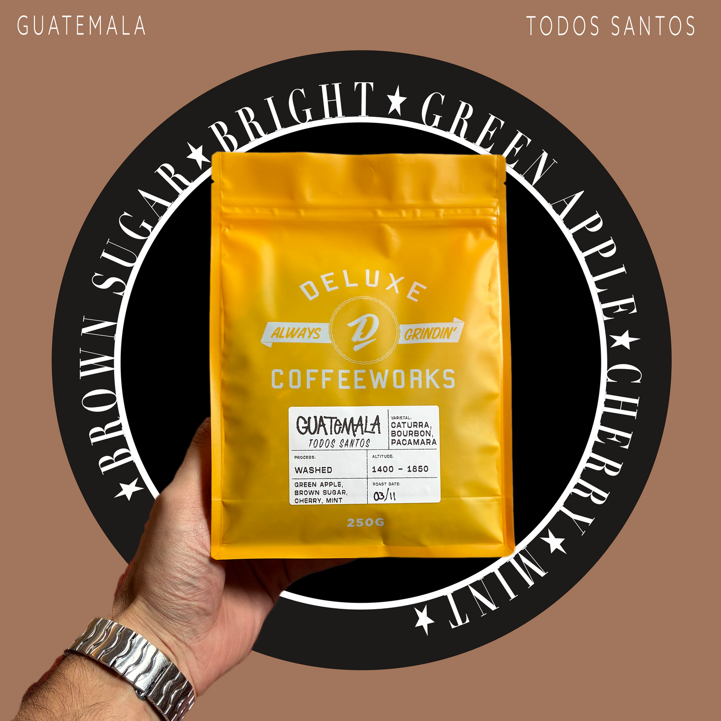 Guatemala Todos Santos