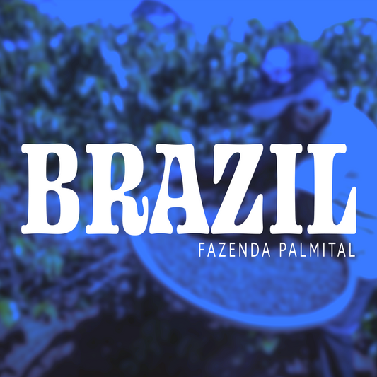 BRAZIL FAZENDA PALMITAL
