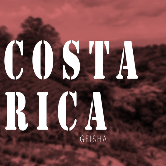 Costa Rica La Candellila