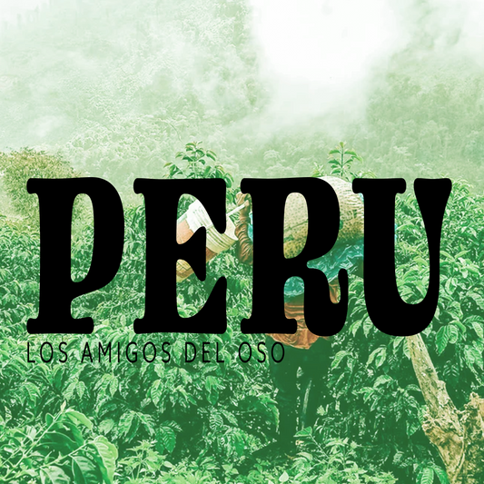 PERU LOS AMIGOS DEL OSO