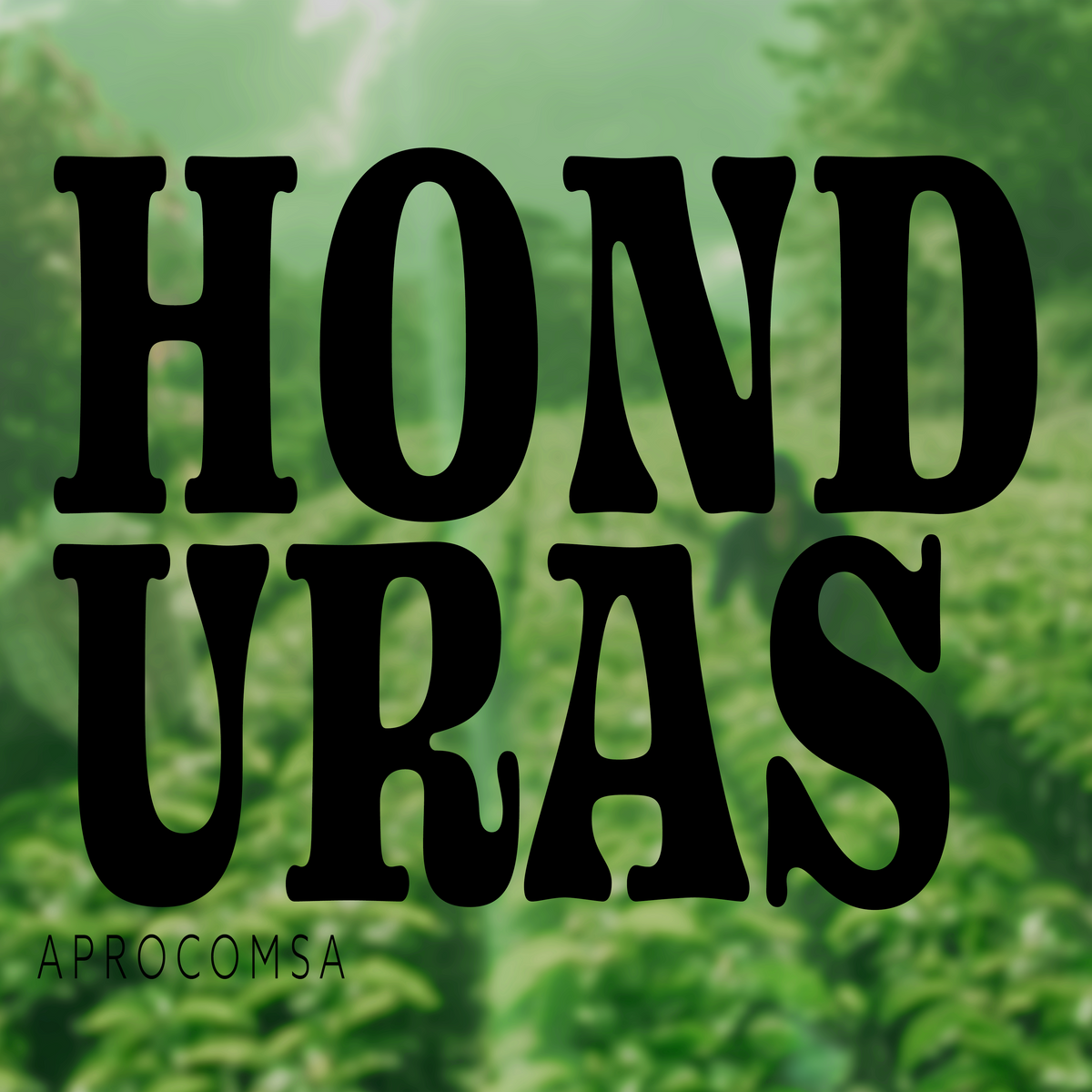 HONDURAS APROCOMSA NATURAL
