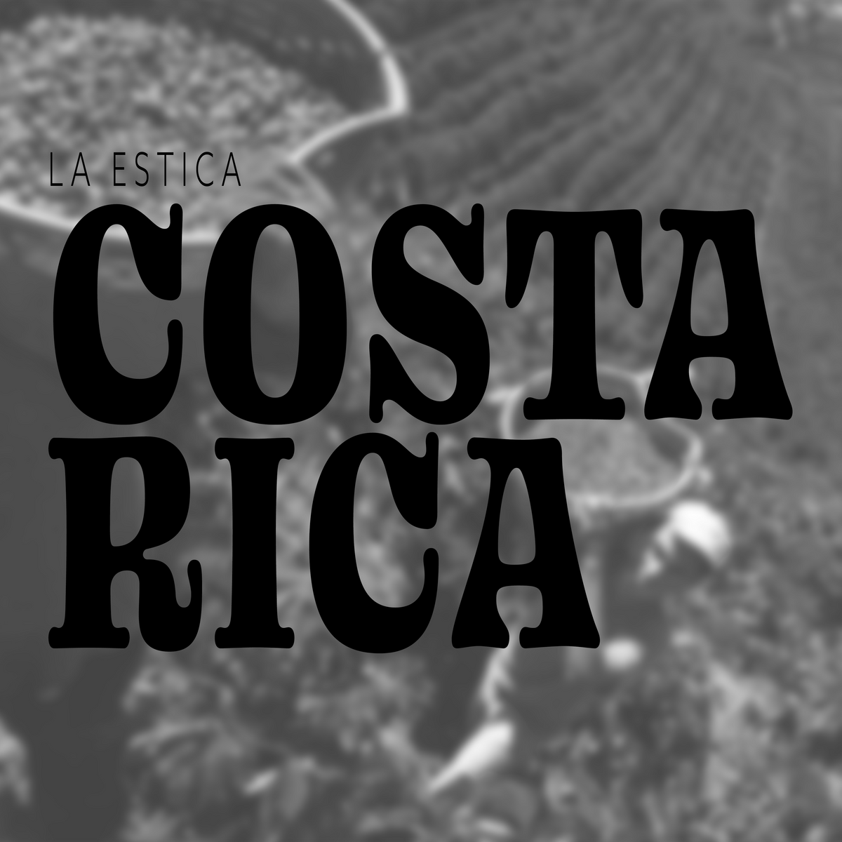 COSTA RICA LA ESTICA