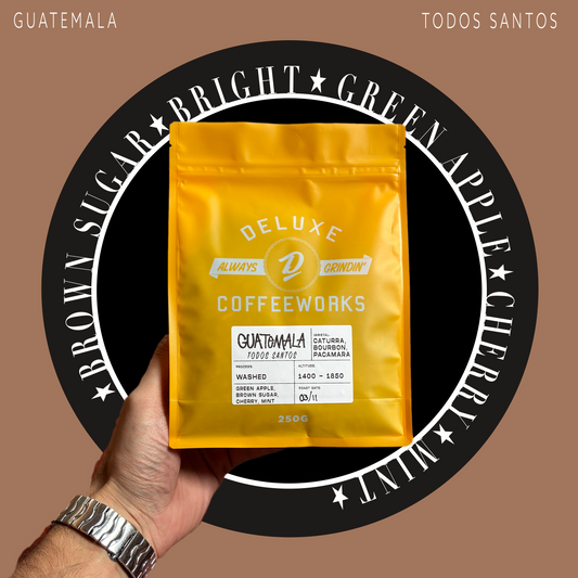 Guatemala Todos Santos