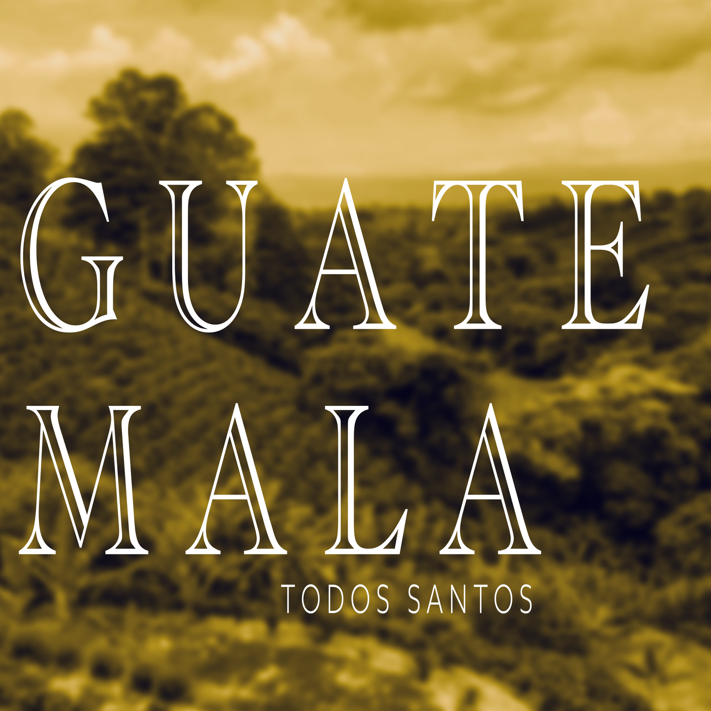 Guatemala Todos Santos