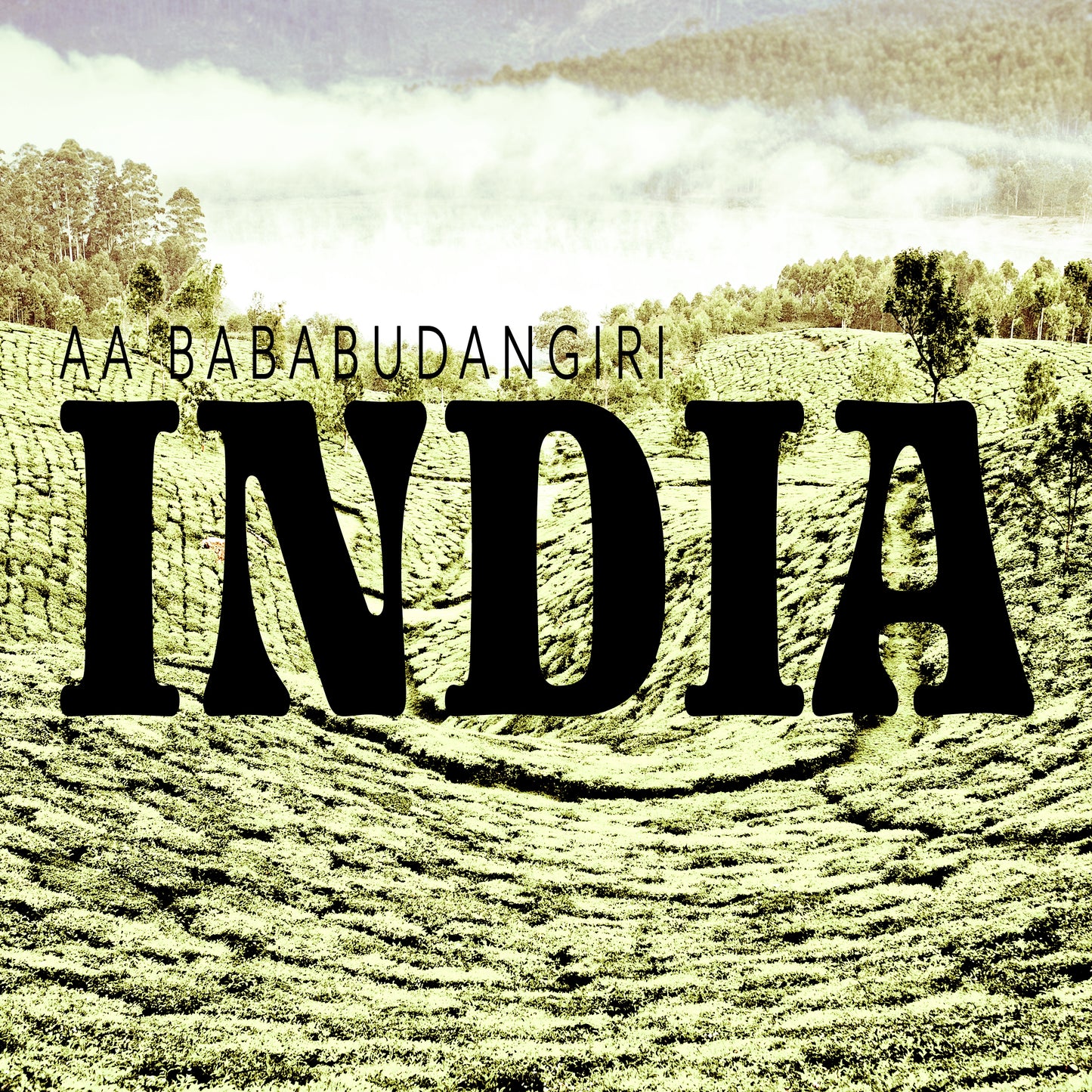 INDIA BABABUDANGIRI