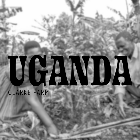 UGANDA CLARKE'S FARM
