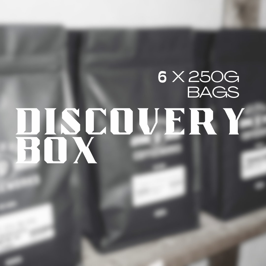 DISCOVERY BOX